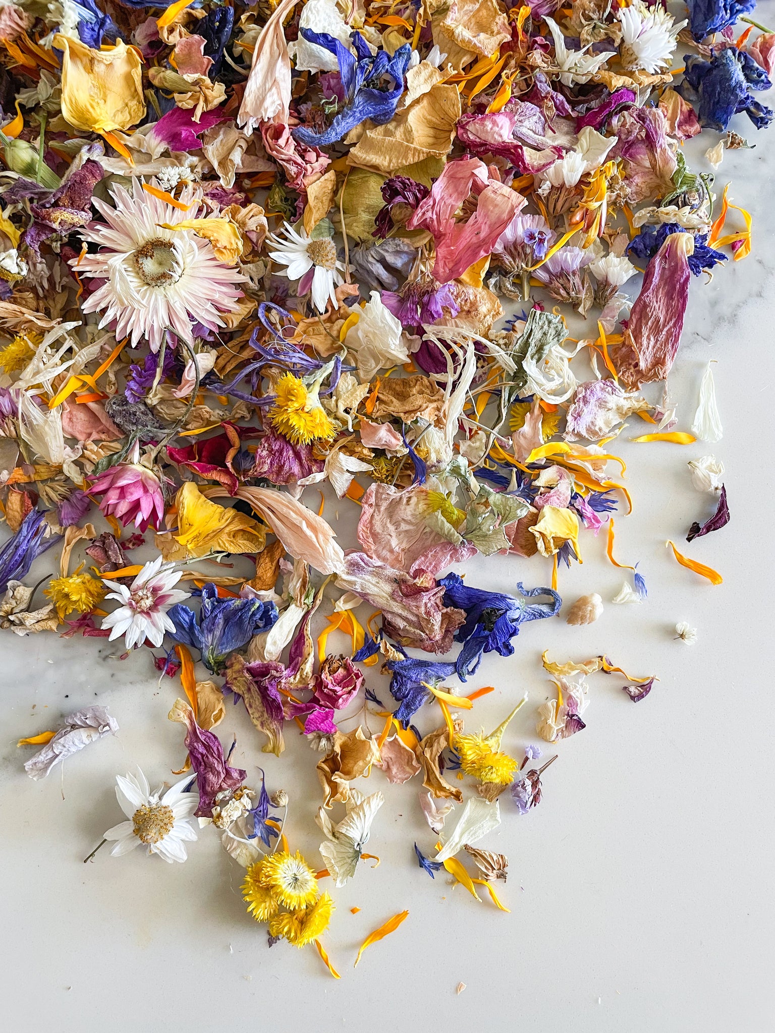 Rainbow Dried Flower Eco Confetti - The Perfect Toss – Billy Button Co